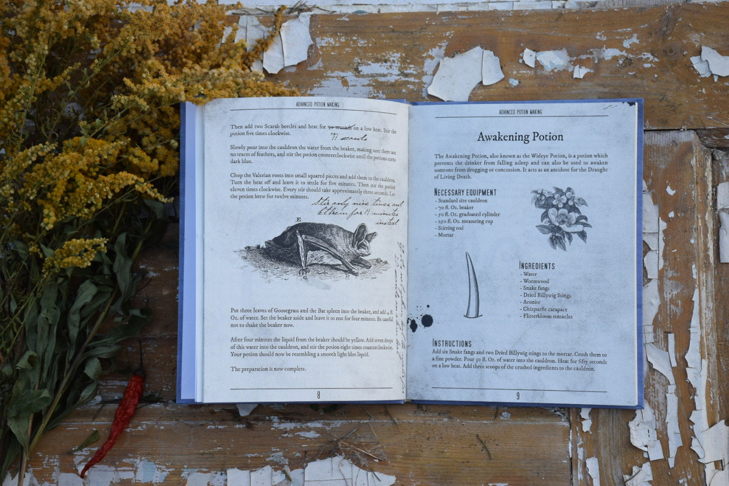 Advenced potion-making book
