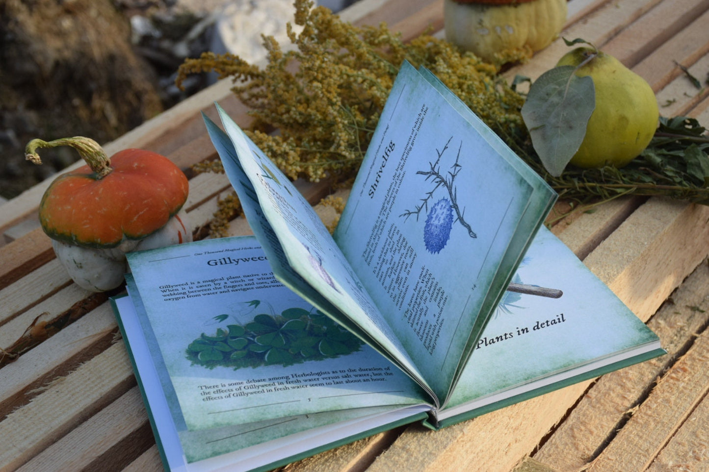 One thousand magical herbs and fungi delivery from USA