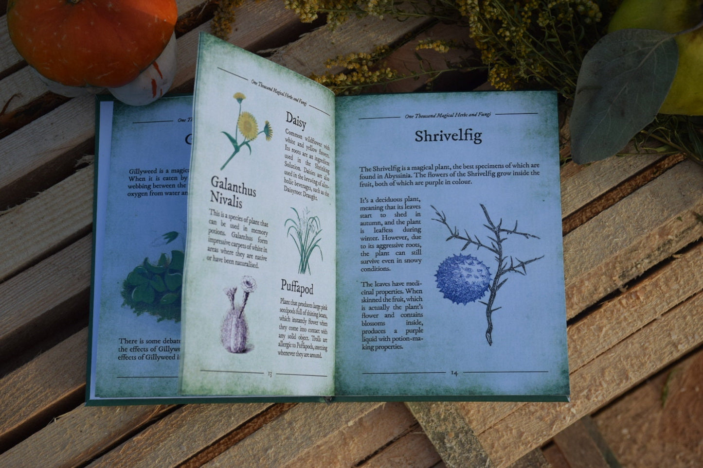 One thousand magical herbs and fungi delivery from USA