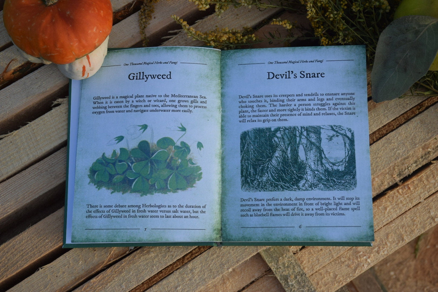 One thousand magical herbs and fungi delivery from USA