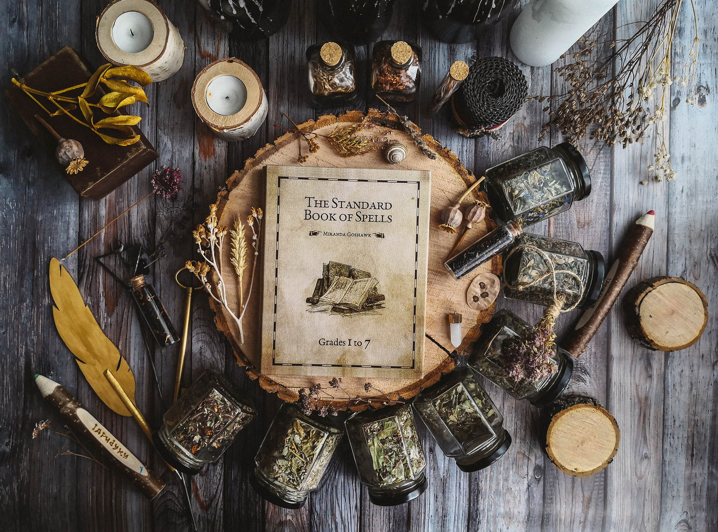 The Standard Book of Spells
