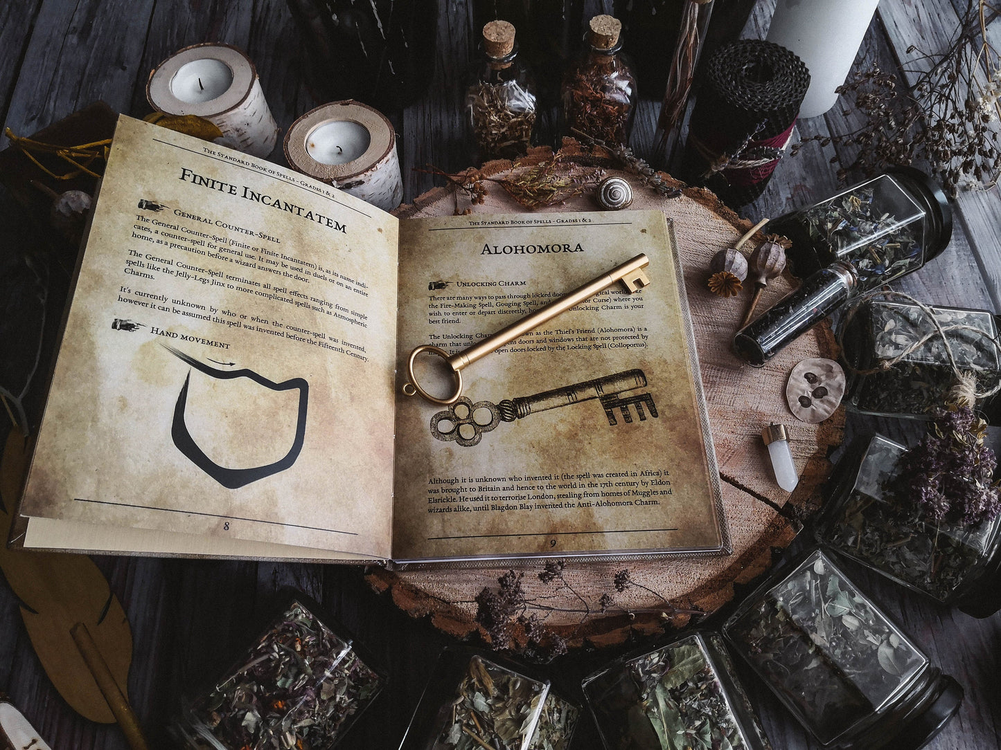 The Standard Book of Spells