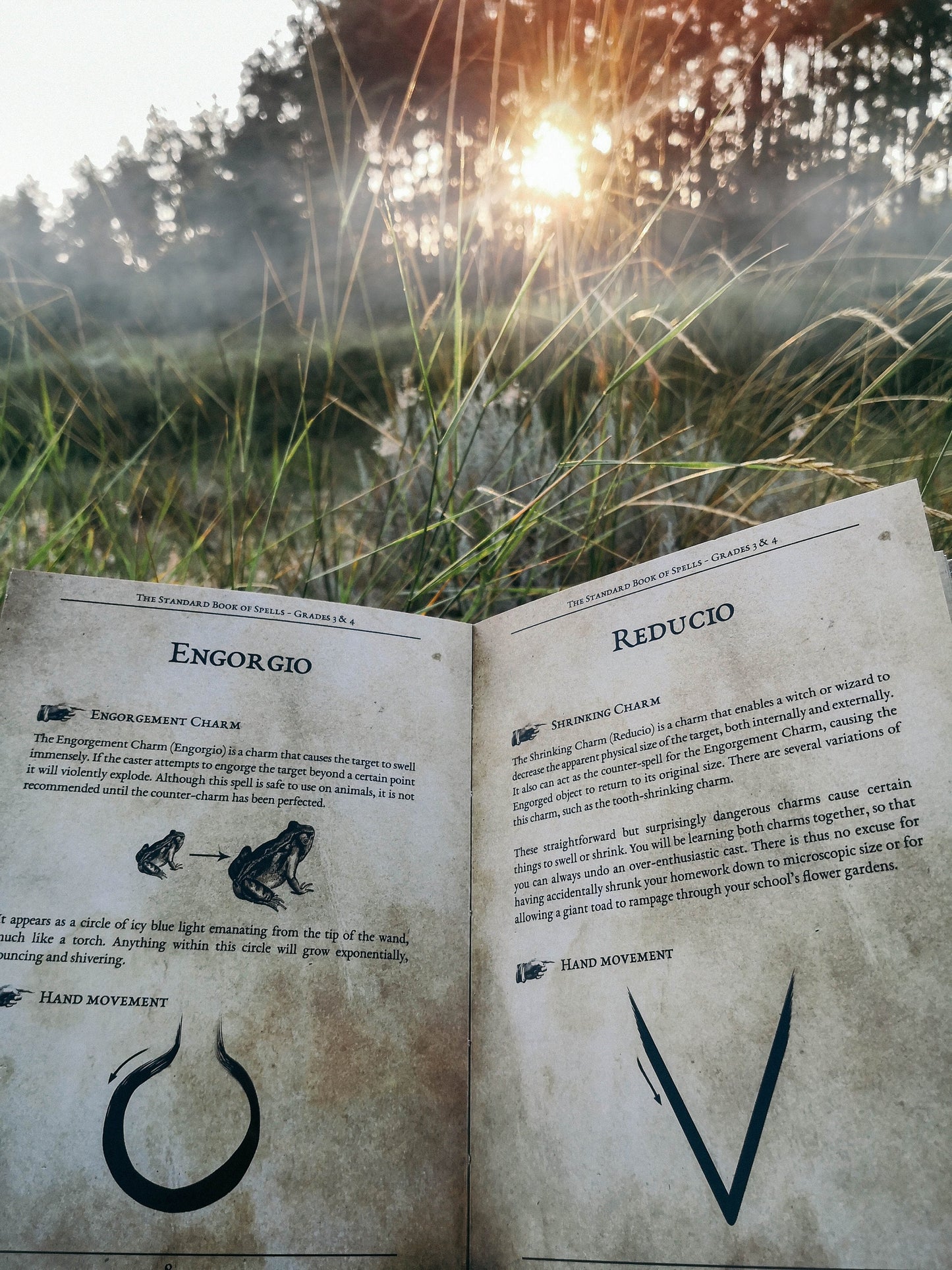 The Standard Book of Spells