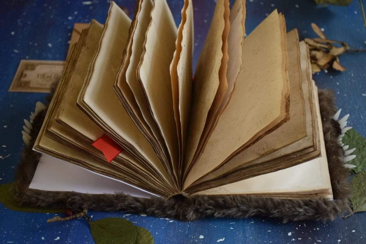The Monster Book of Monsters with green eyes Replica Journal Notebook