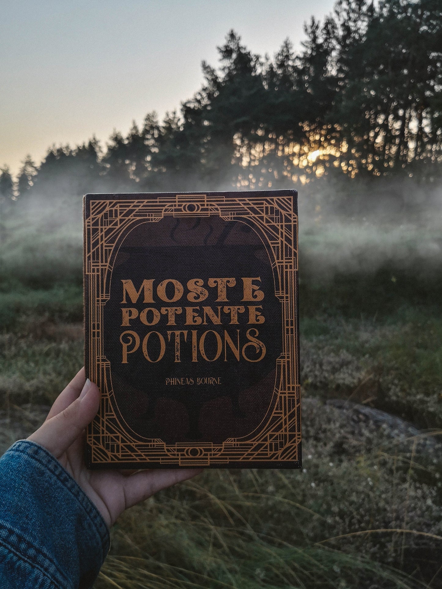 Moste Potente Potions