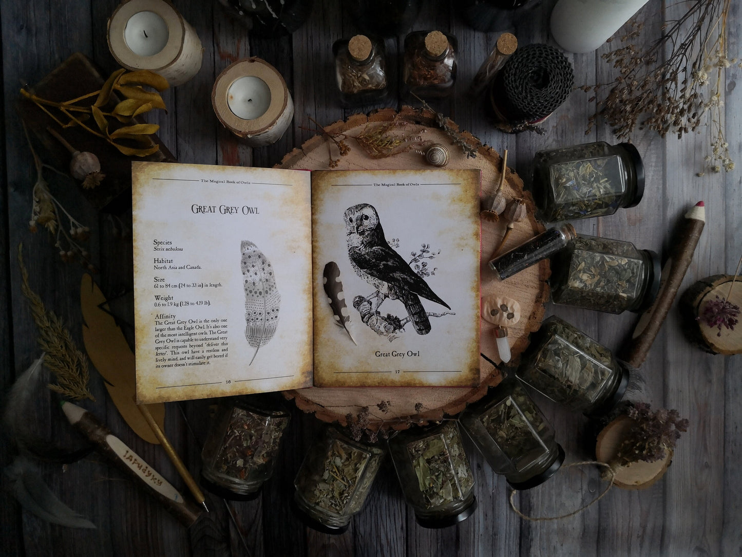 The Magic Book of Owls