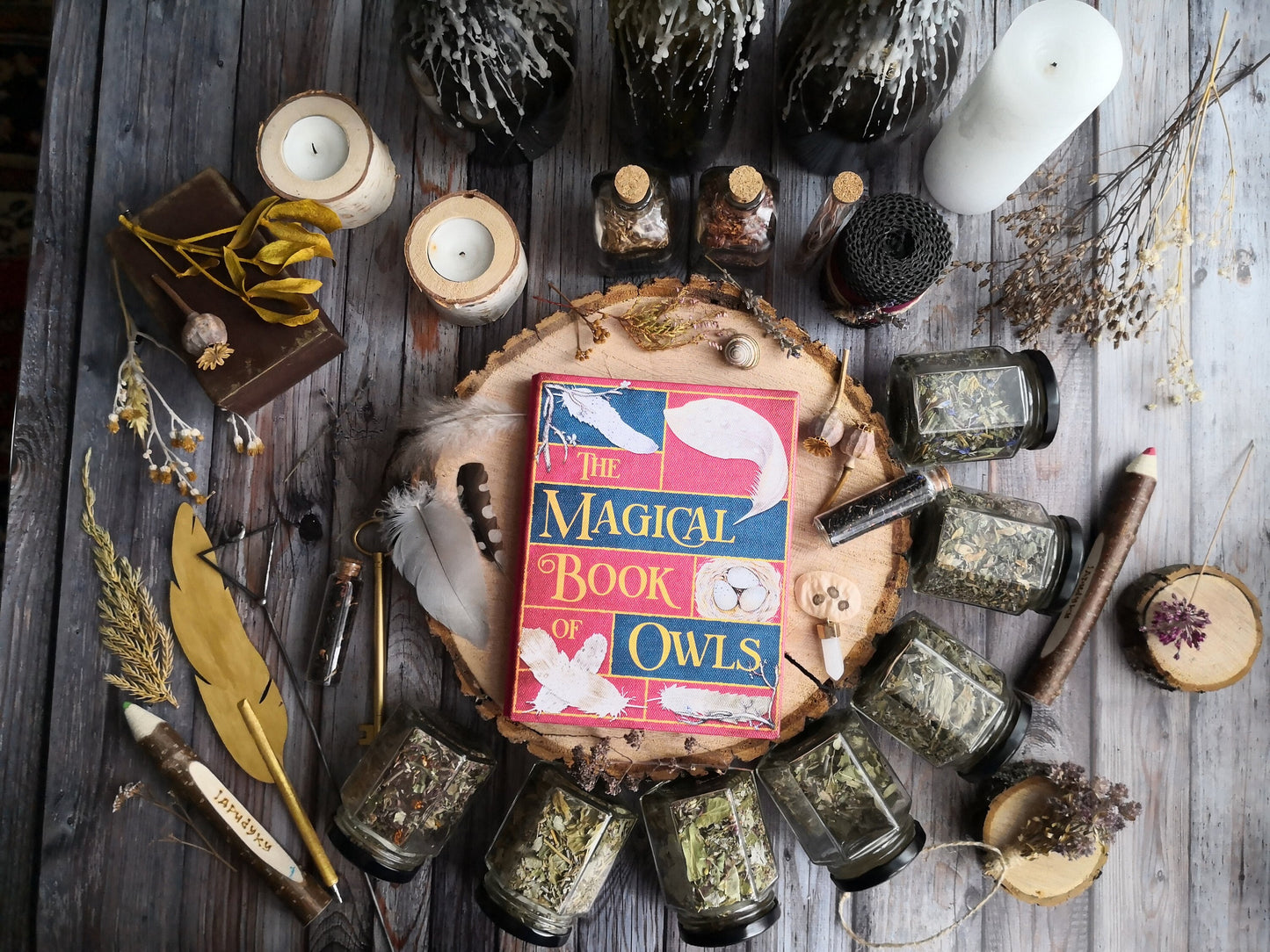 The Magic Book of Owls