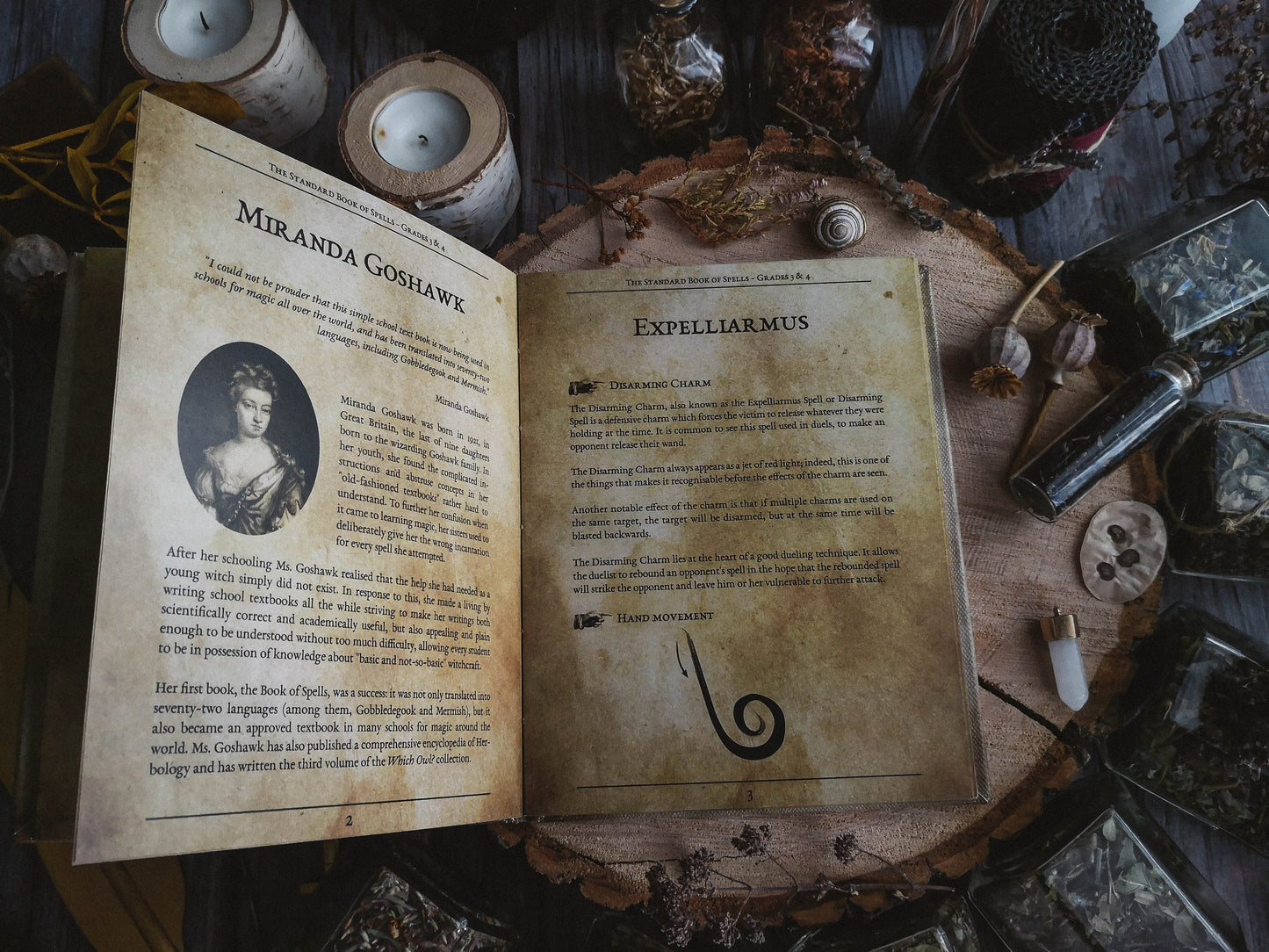 The Standard Book of Spells