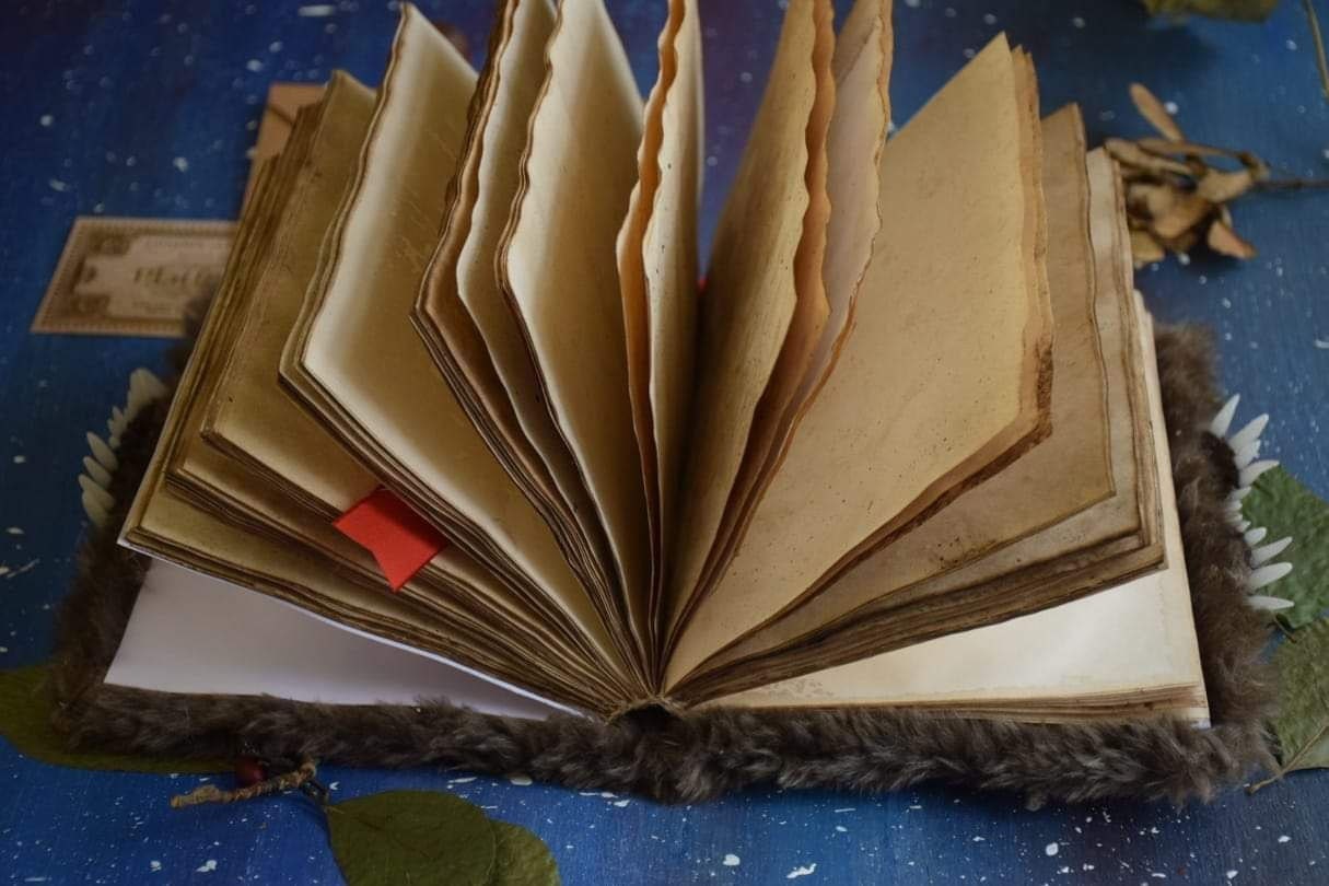 The Monster Book of Monsters with blue eyes Replica