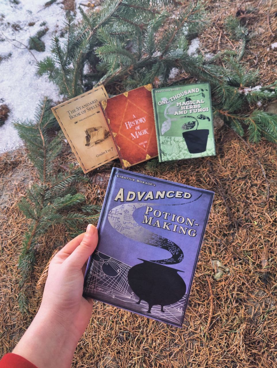 Books set FOUR Advanced Potion Making APM One thousand magical herbs and fungi History of Magic The Standard Book of Spells Library