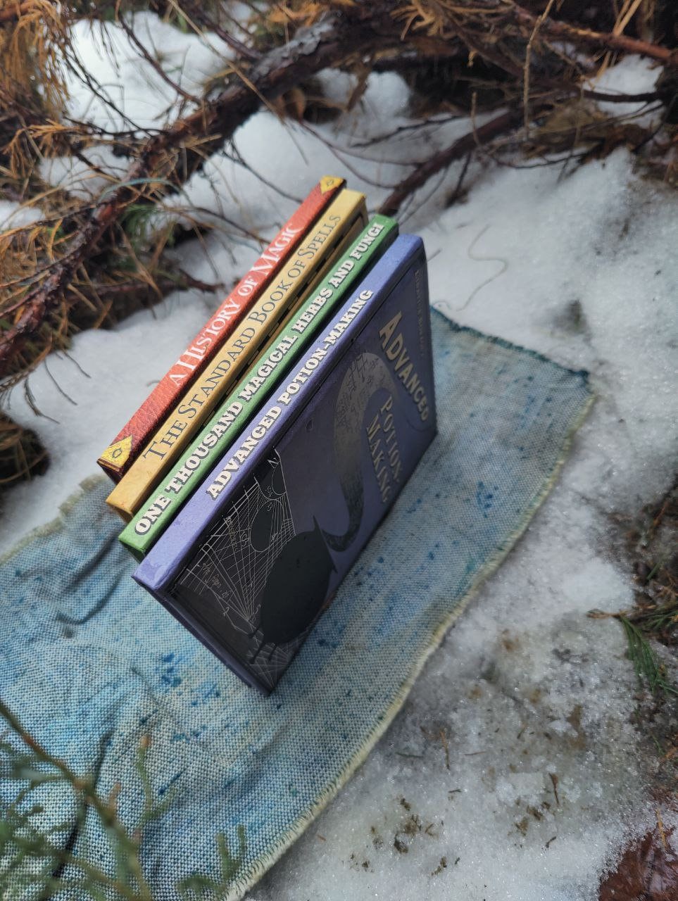 Books set FOUR Advanced Potion Making APM One thousand magical herbs and fungi History of Magic The Standard Book of Spells Library