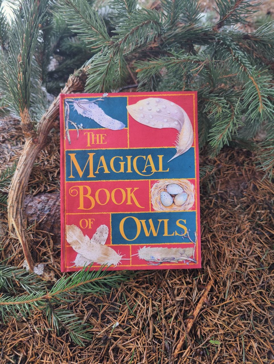 The Magical Book of Owls