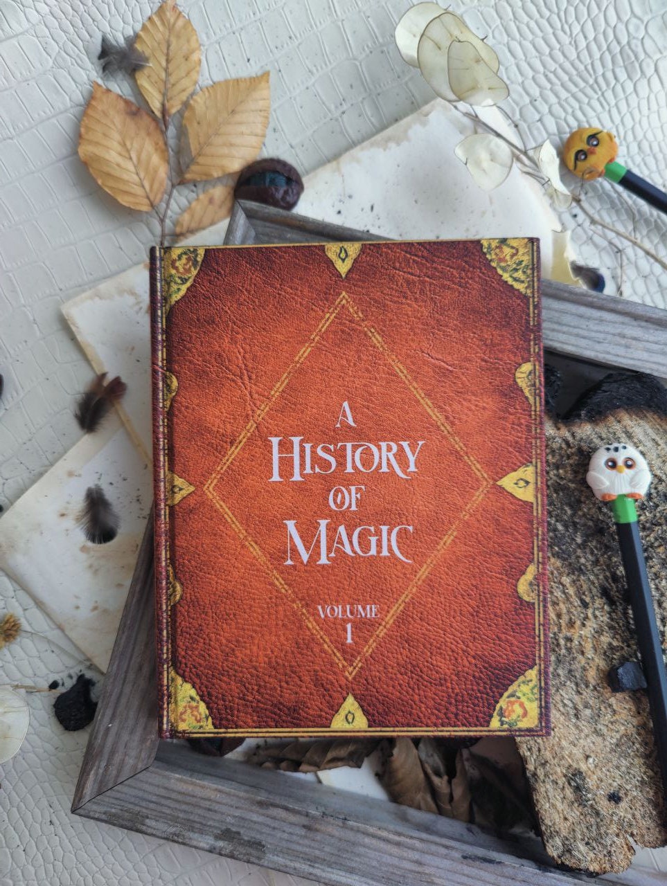 A History of Magic