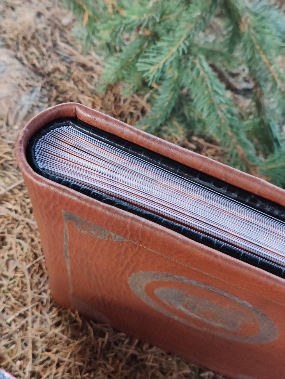 Dragon Manual Book How to Train Your Dragon HTTYD