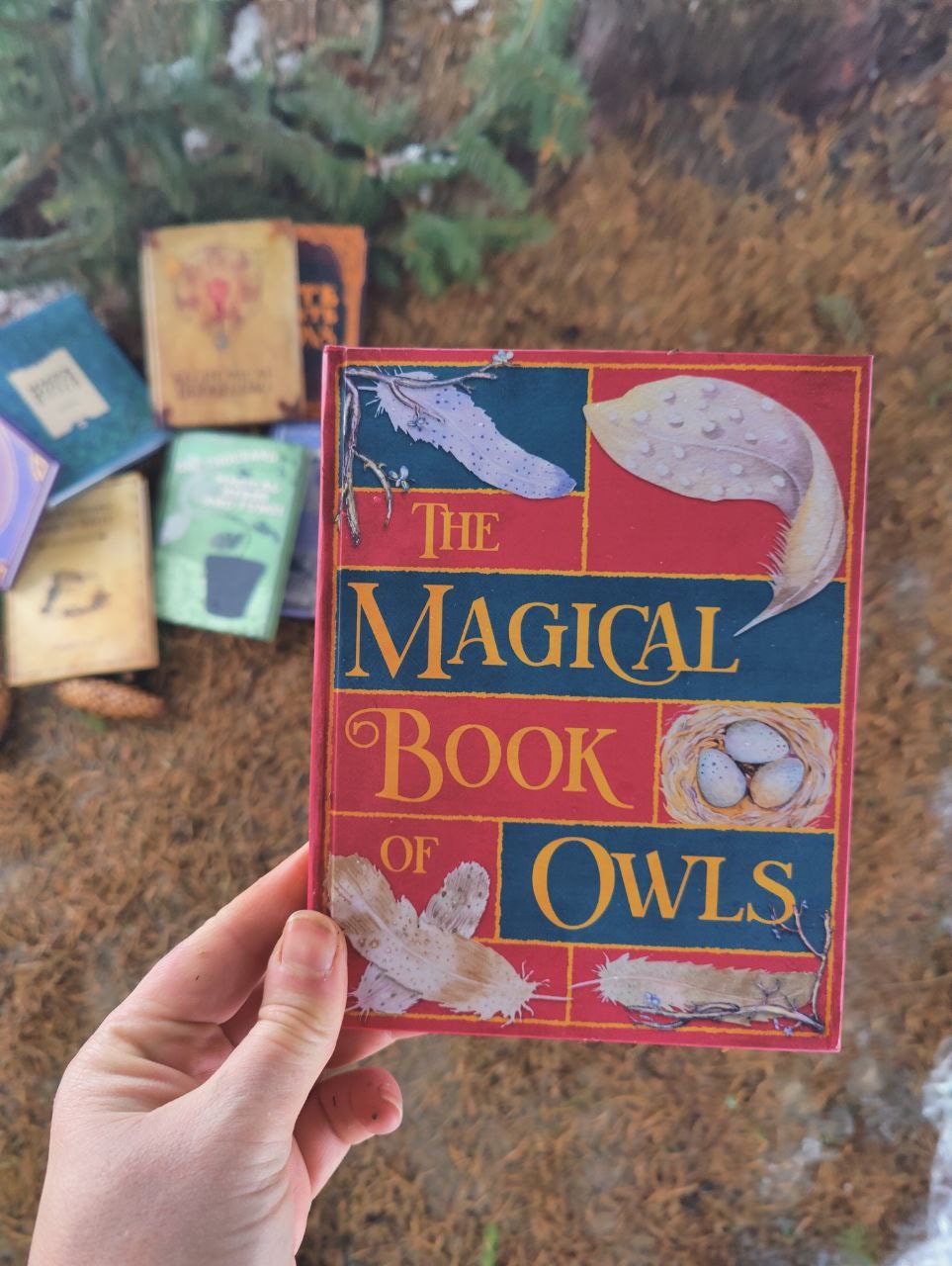 The Magical Book of Owls
