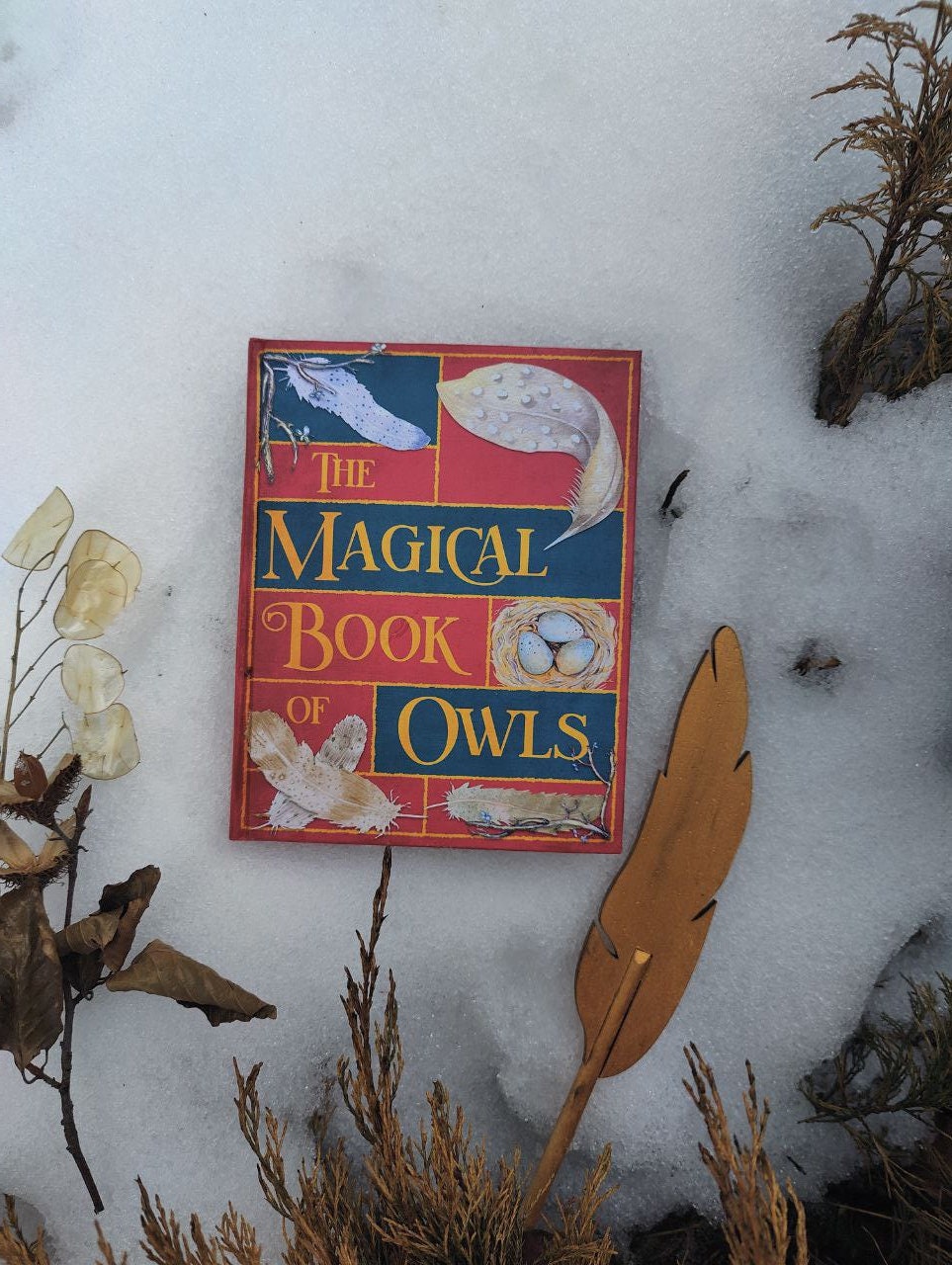 The Magical Book of Owls