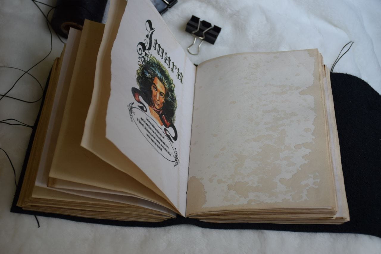 The Book of Shadow charmed Charm Notebook Softbook triquetra