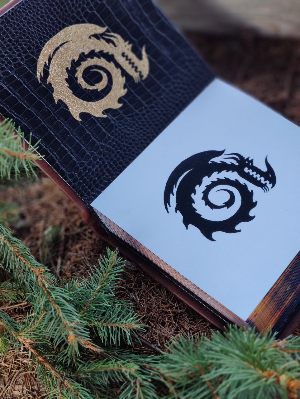 Dragon Manual Book How to Train Your Dragon HTTYD