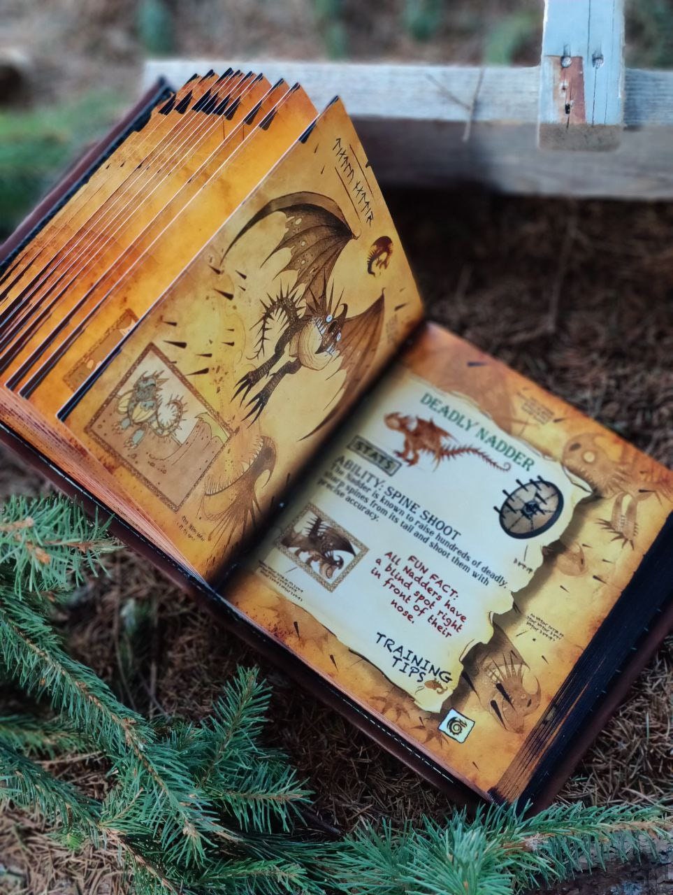 Dragon Manual Book How to Train Your Dragon HTTYD