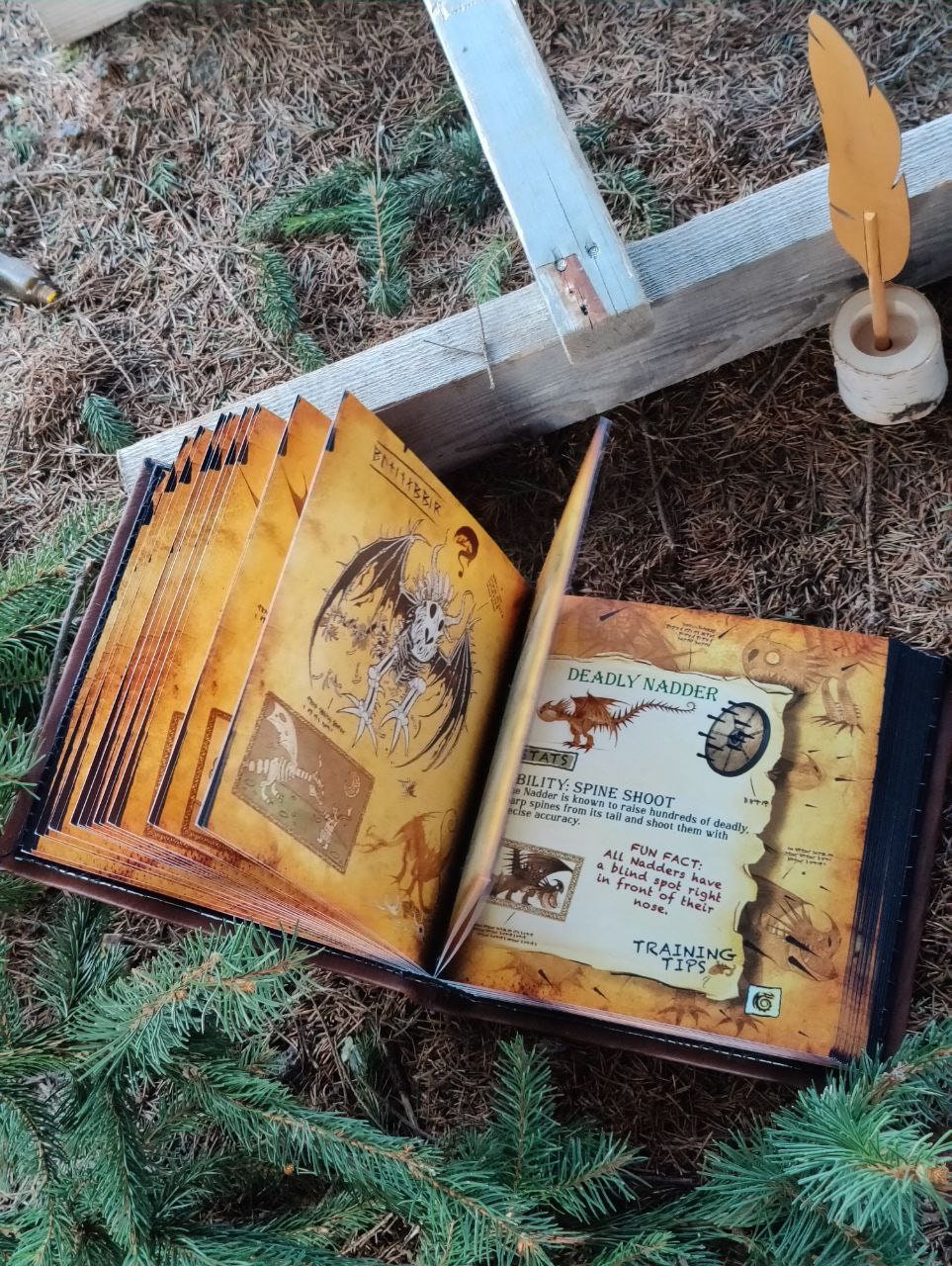 Dragon Manual Book How to Train Your Dragon HTTYD