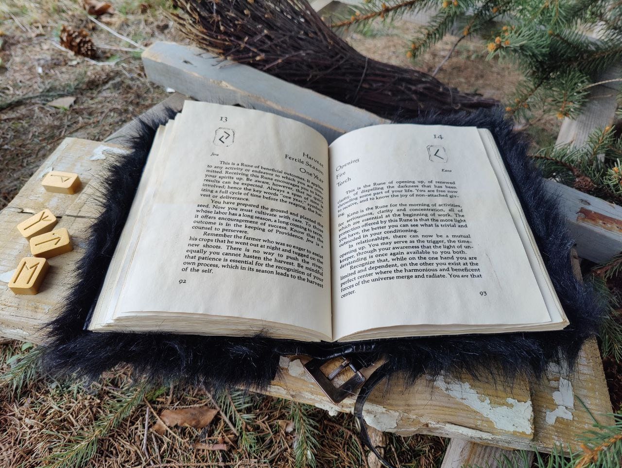The Book of Runes | Witch Runes Book of Shadows | Grimoire | Monster Book of Monsters
