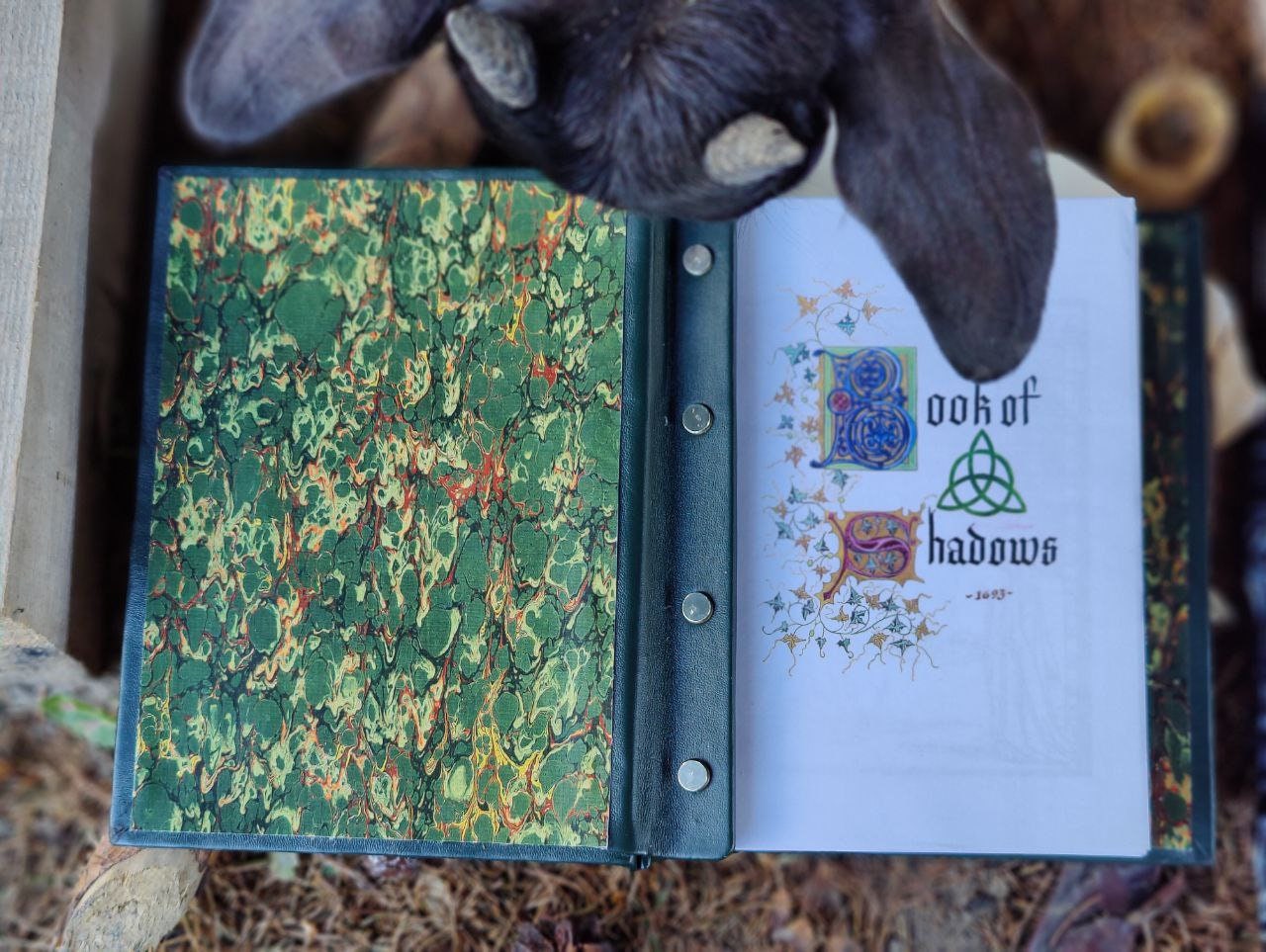 The Book of Shadows Charmed BOS Halliwell on 4 bolts Wicca triquetra