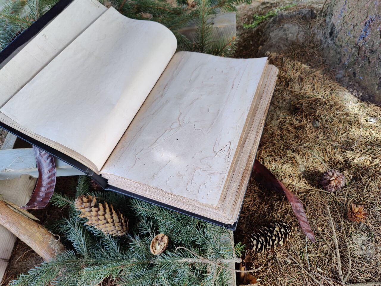 Viking Valknut Notebook Book of Shadows Runes Witchcraft Spell Wicca