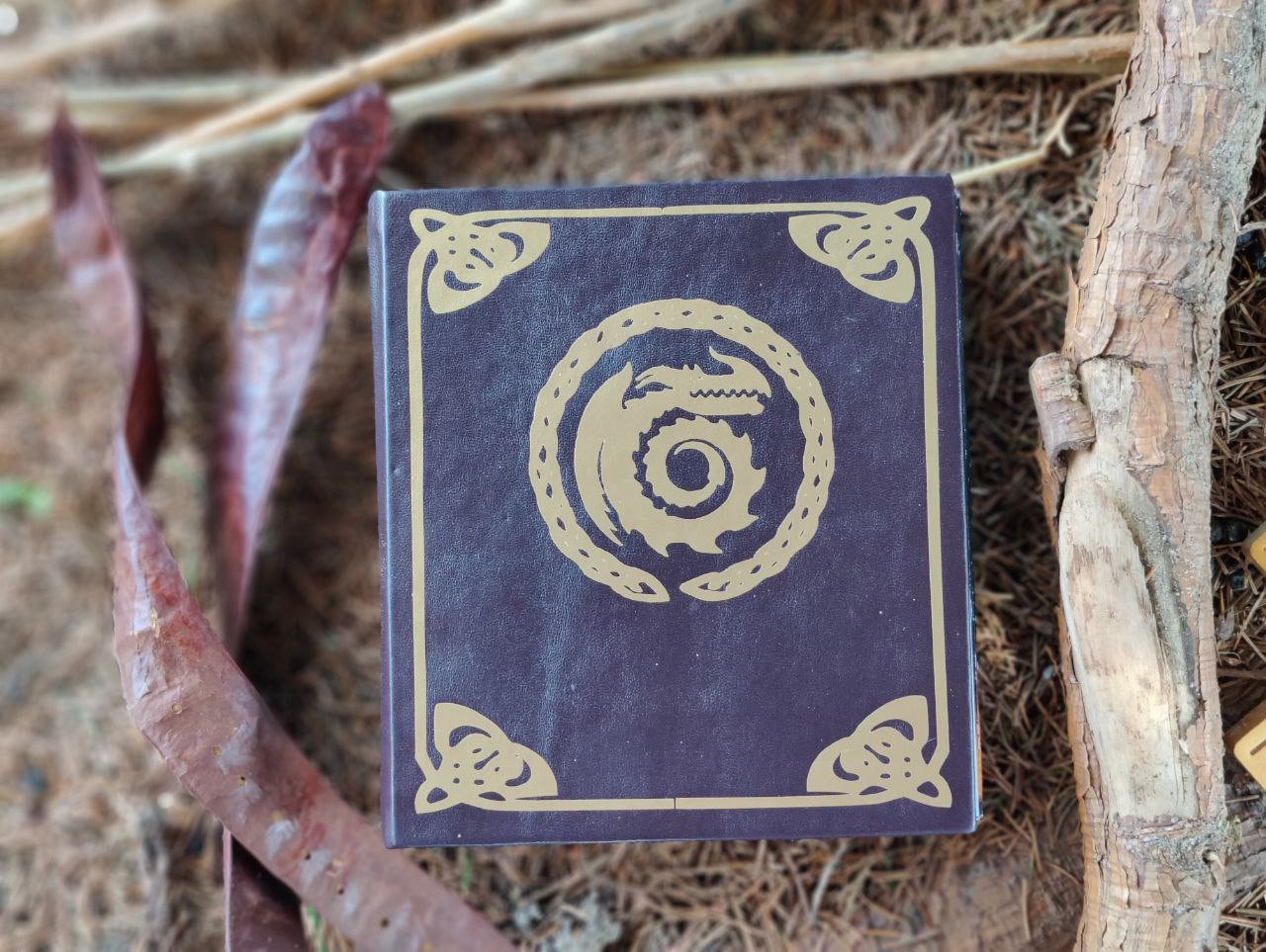 Book How to Train Your Dragon HTTYD