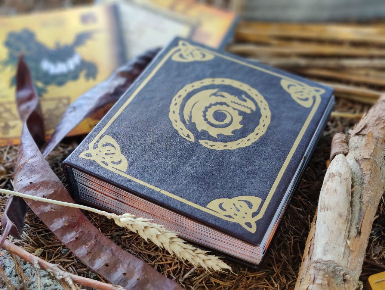 Book How to Train Your Dragon HTTYD