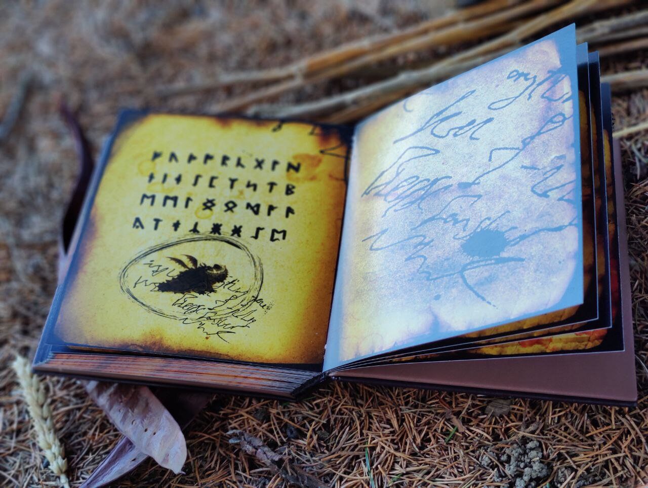 Book How to Train Your Dragon HTTYD