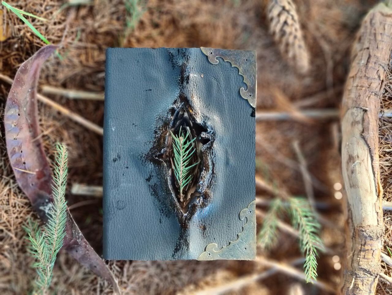 Tom Riddle Marvolo diary
