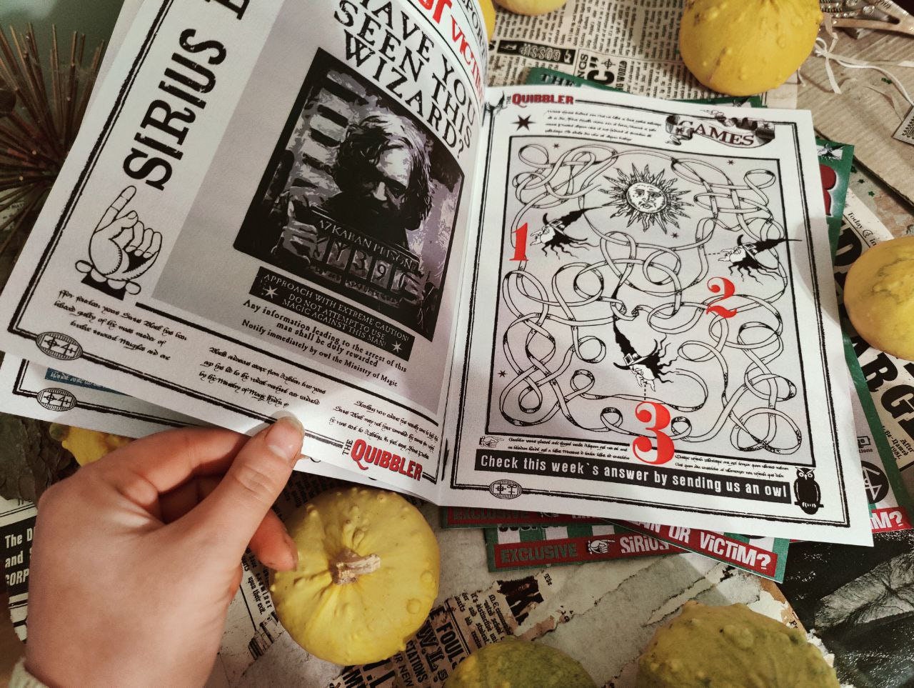 The Quibbler magazines