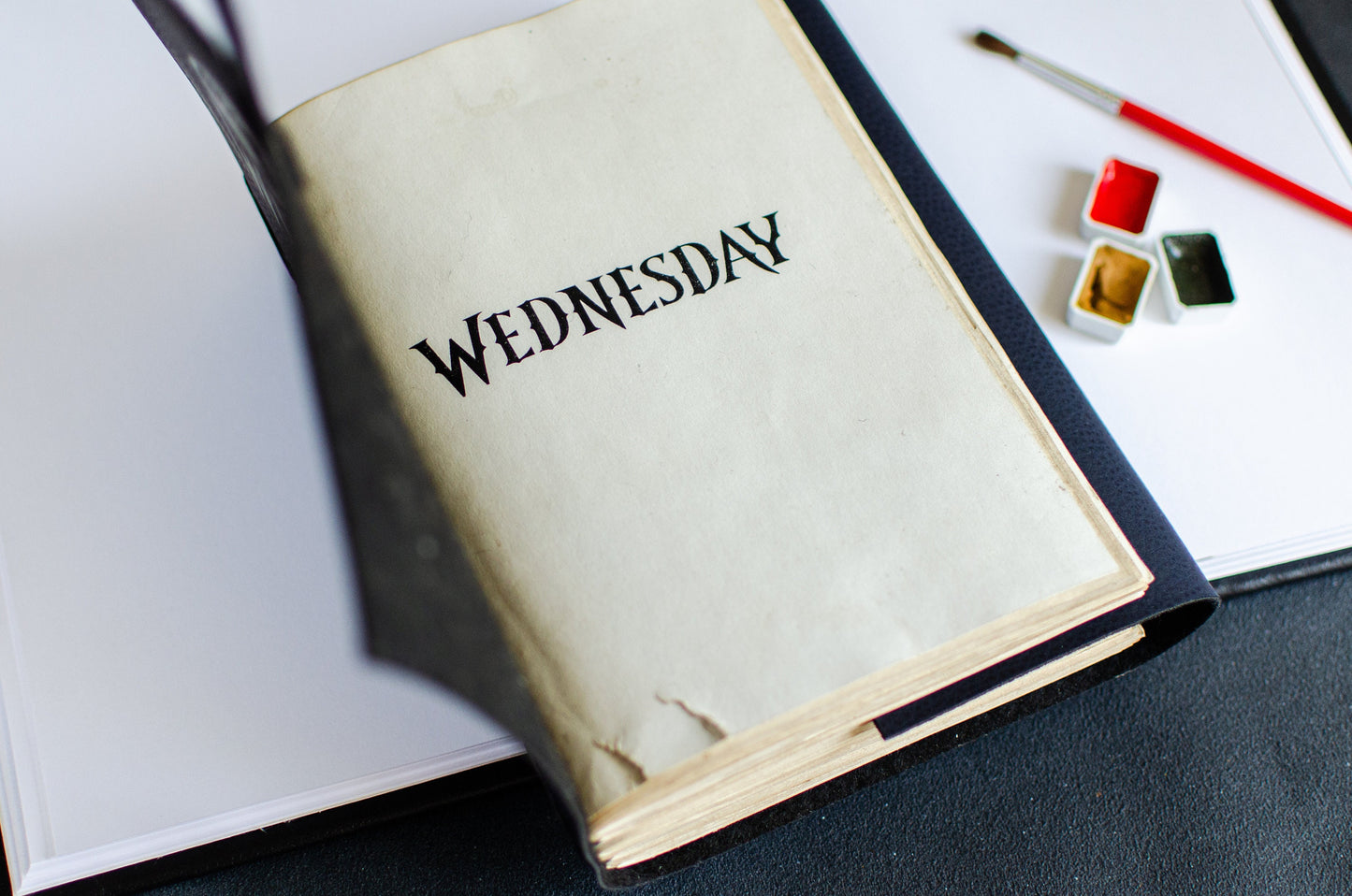 Wednesday's Notebook Softbook
