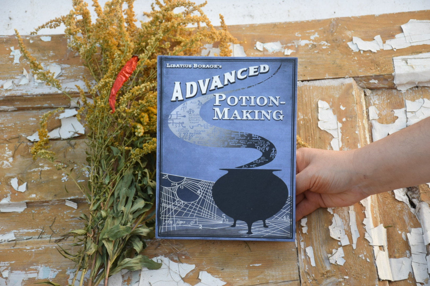 Advenced potion-making book