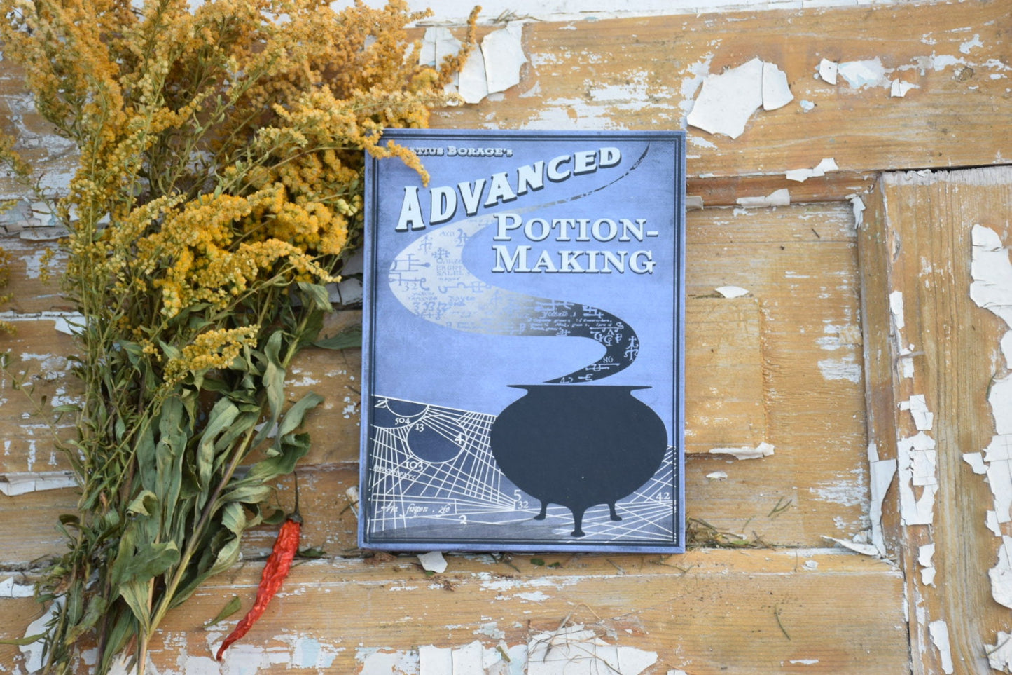 Advenced potion-making book