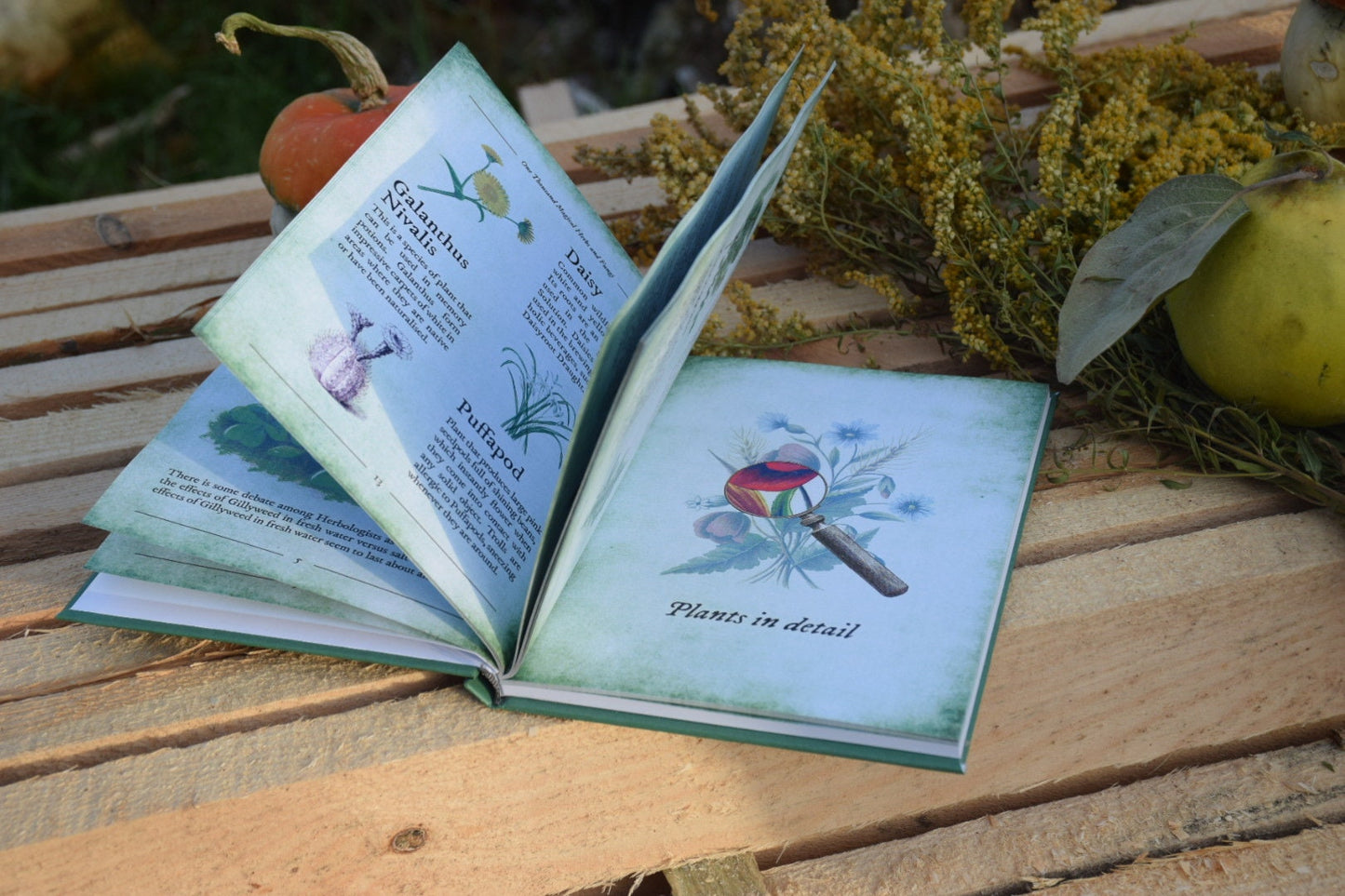 One thousand magical herbs and fungi delivery from USA