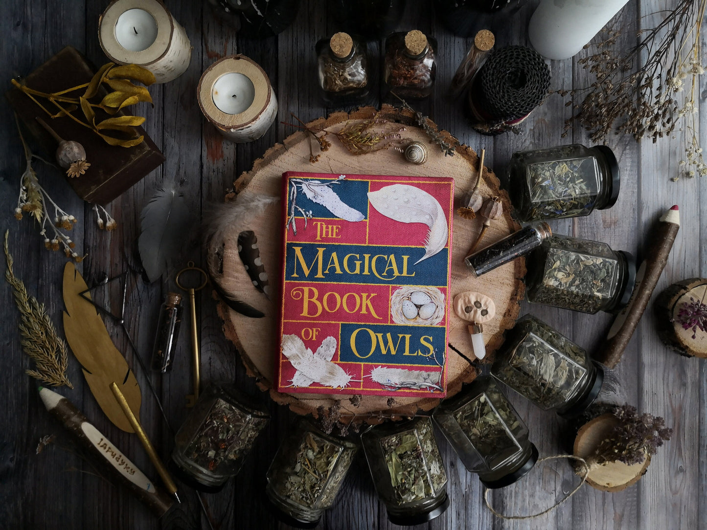 The Magic Book of Owls