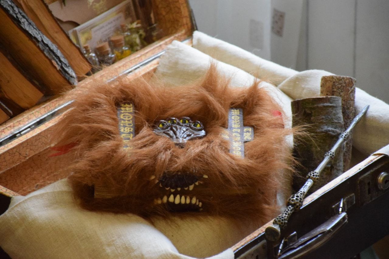 The Monster Book of Monsters Replica 6*8"