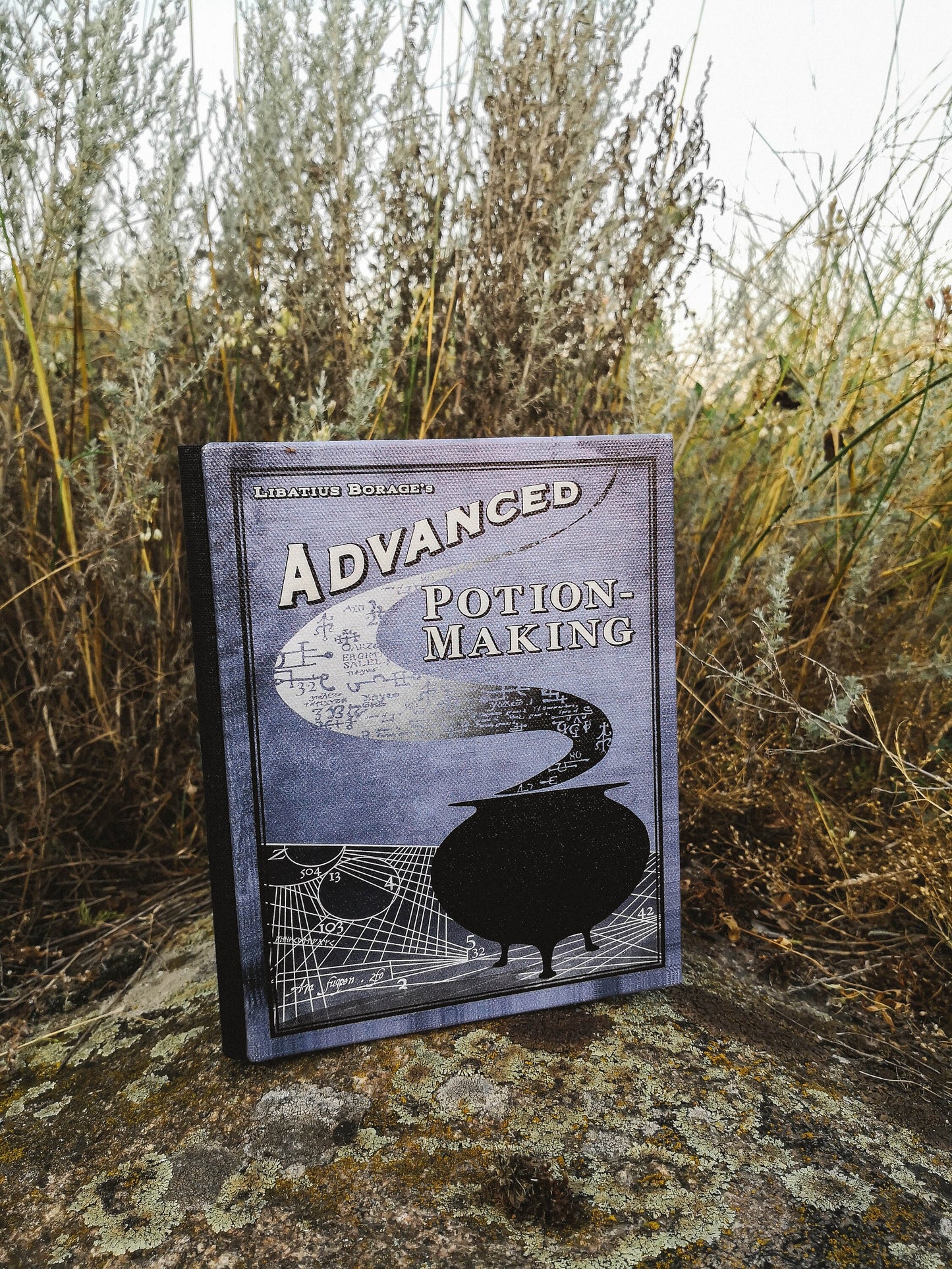 Advanced potion making halfblood prince full book 190 pages