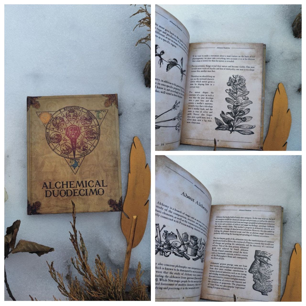 Books set APM One thousand magical herbs and fungi History of Magic The Standard Book of Spells Library nine books