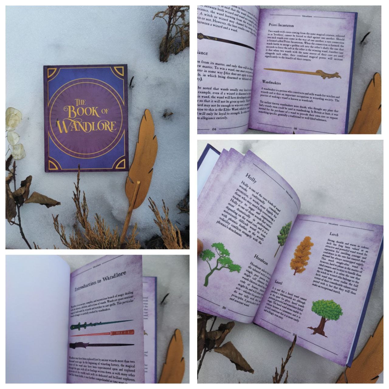 Books set APM One thousand magical herbs and fungi History of Magic The Standard Book of Spells Library nine books