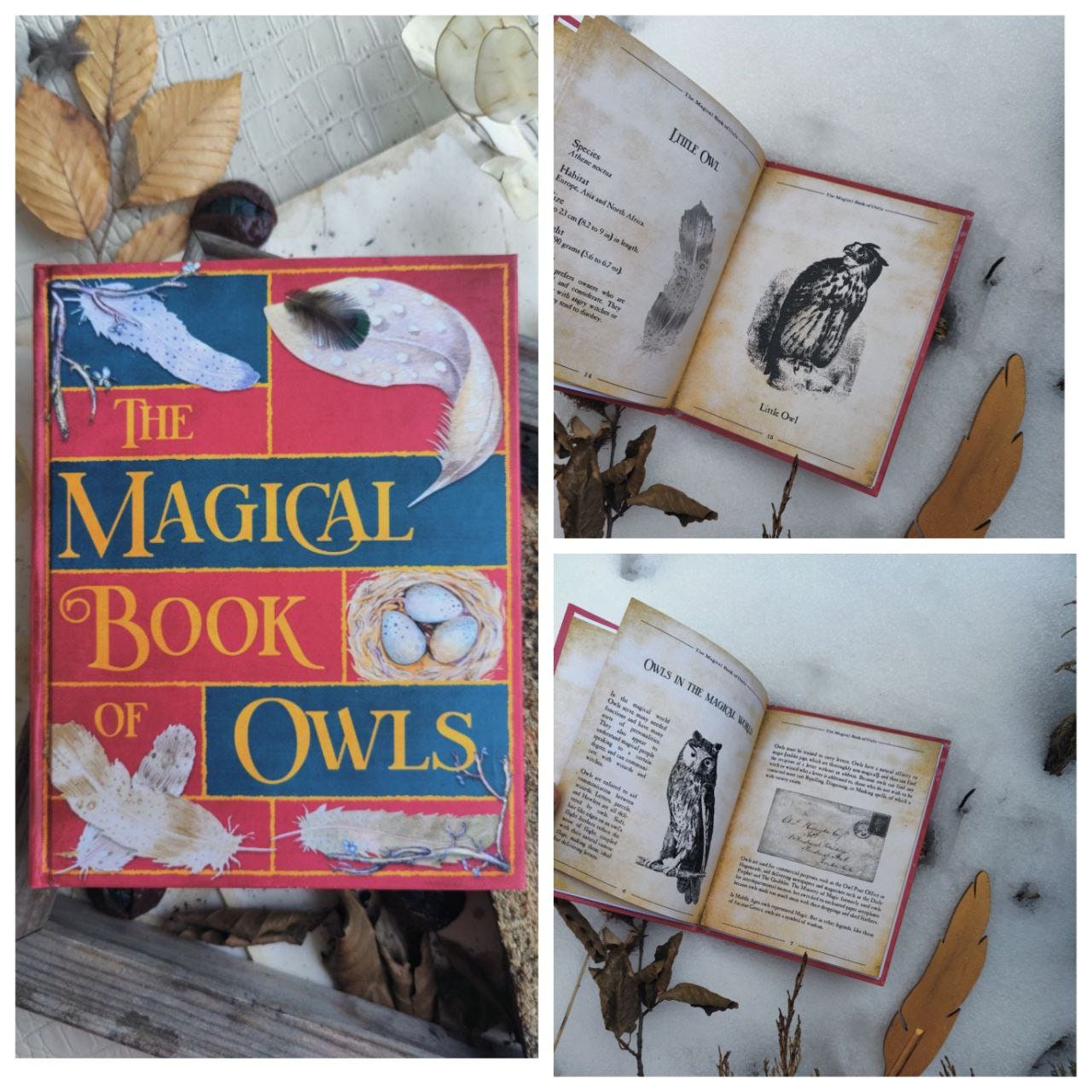 Books set APM One thousand magical herbs and fungi History of Magic The Standard Book of Spells Library nine books