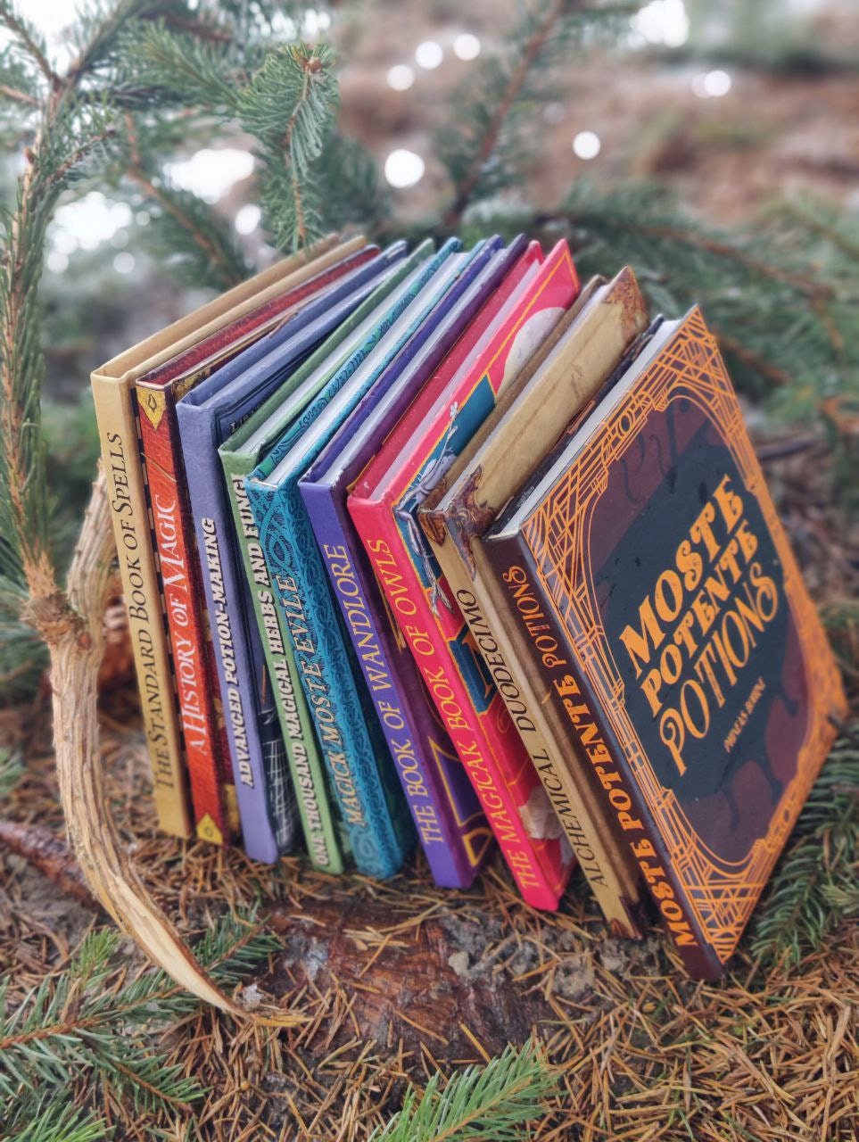 Books set APM One thousand magical herbs and fungi History of Magic The Standard Book of Spells Library nine books