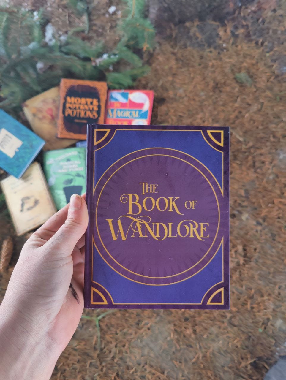 The Book of Wandlore