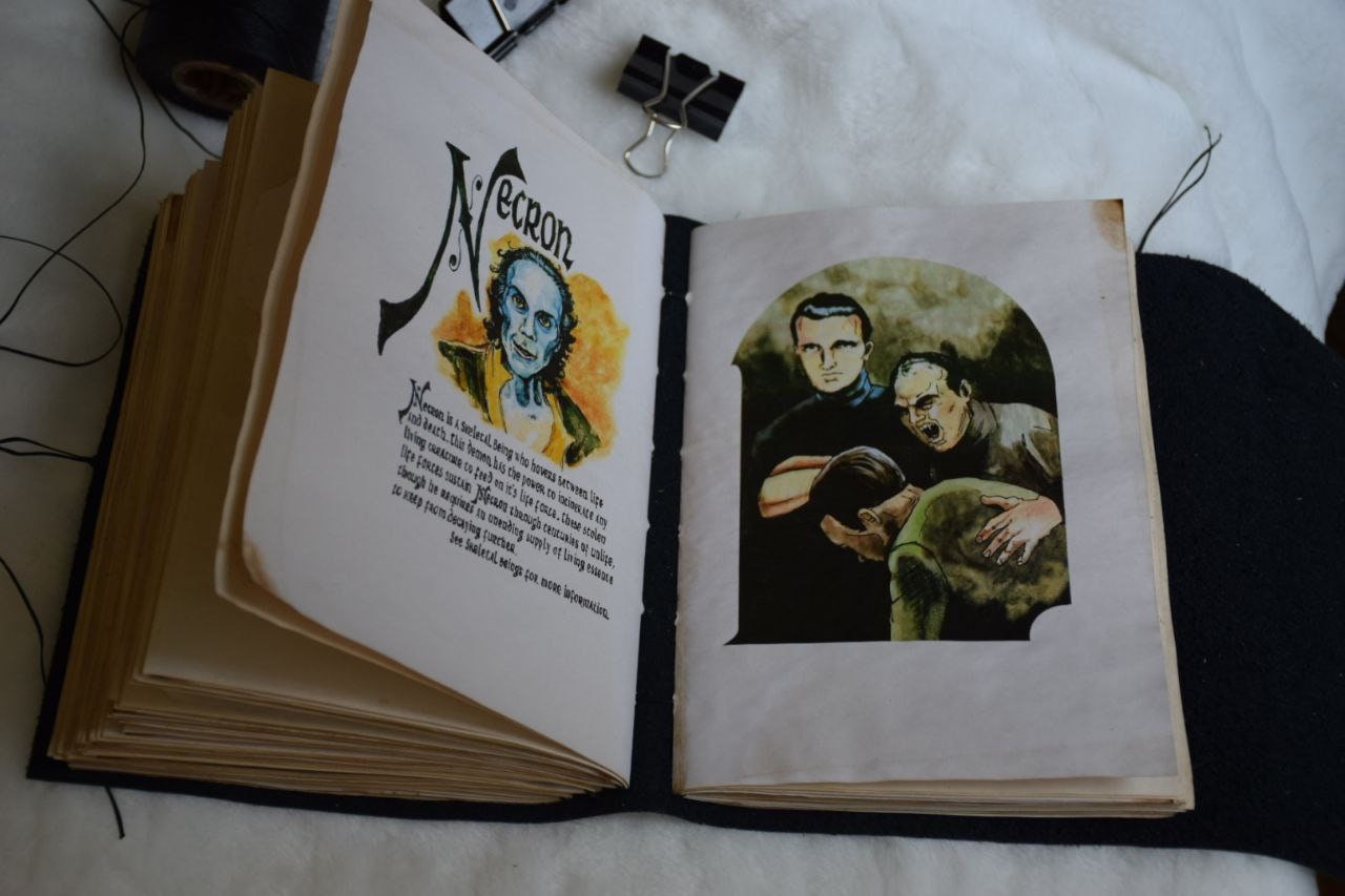 The Book of Shadow charmed Charm Notebook Softbook triquetra