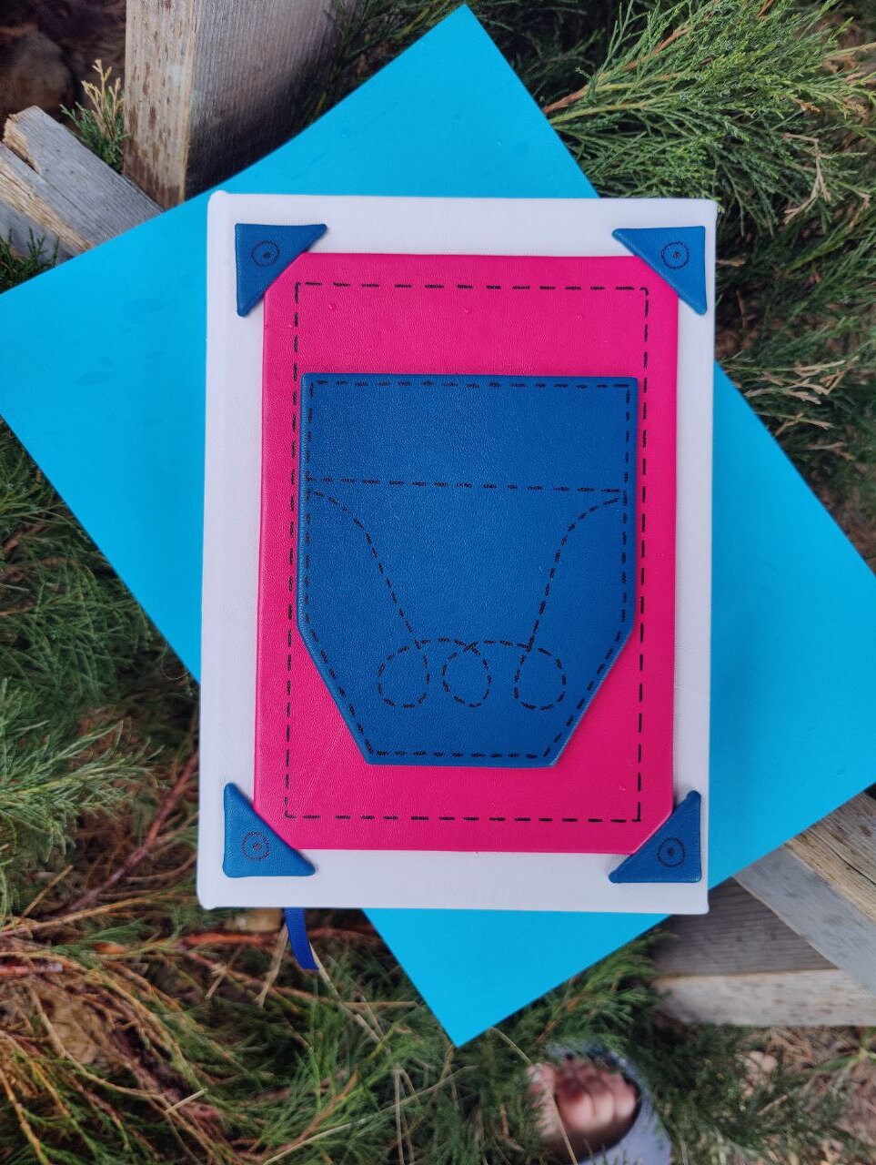 Diary Blank lined Page Dork Notebook journal
