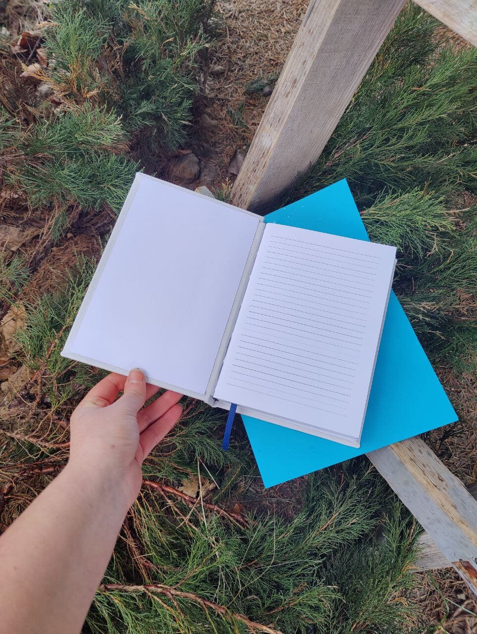 Diary Blank lined Page Dork Notebook journal