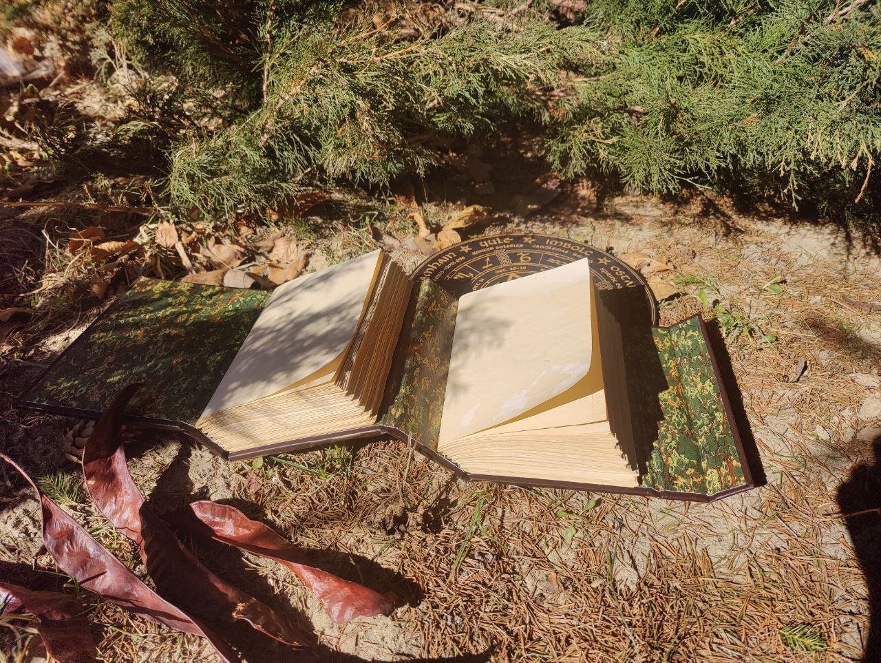 Practical Magic The Book of shadows witch spell book Wicca gold triquetra double book