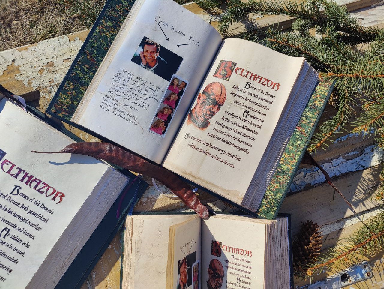 The Book of Shadows Charmed Charm BOS Big Size Cosplay Wicca magic witch spell herb book 560 pages