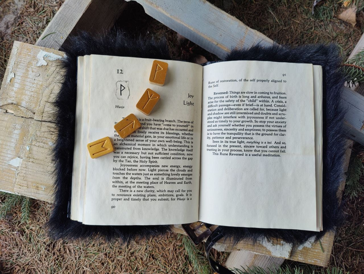 The Book of Runes | Witch Runes Book of Shadows | Grimoire | Monster Book of Monsters